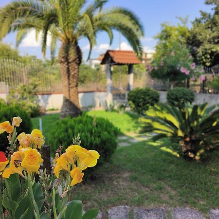 Apartamento I Giardini Di Plinio - Elegante E Luminoso. Boscoreale Exterior foto