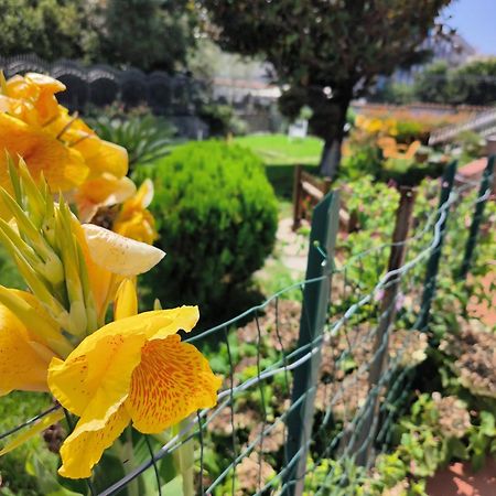 Apartamento I Giardini Di Plinio - Elegante E Luminoso. Boscoreale Exterior foto