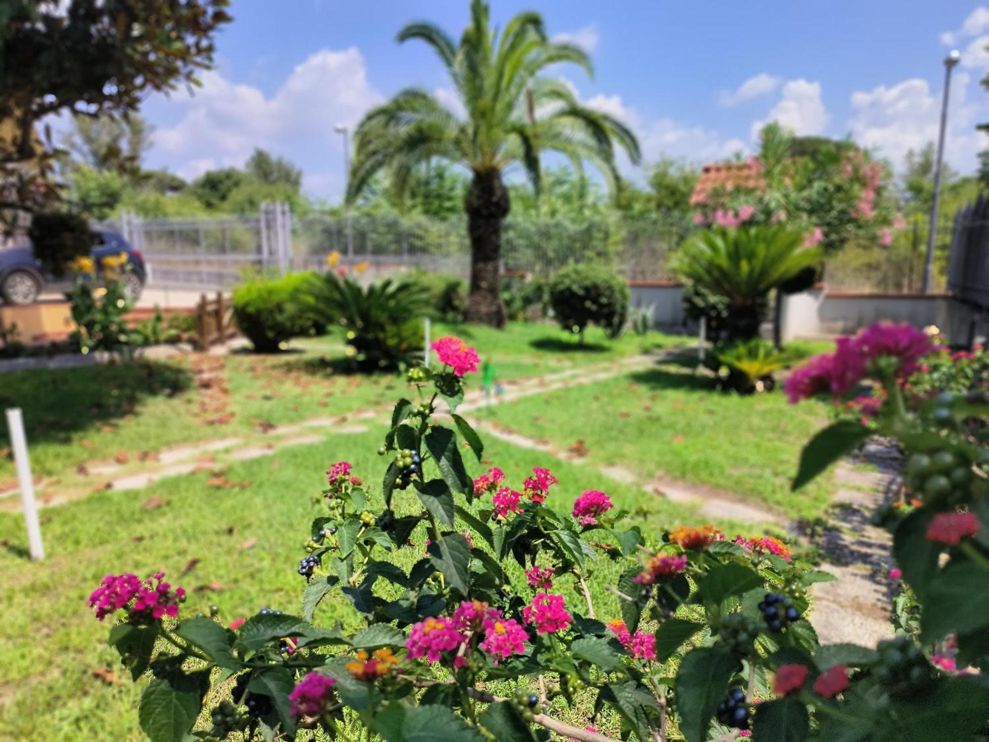 Apartamento I Giardini Di Plinio - Elegante E Luminoso. Boscoreale Exterior foto